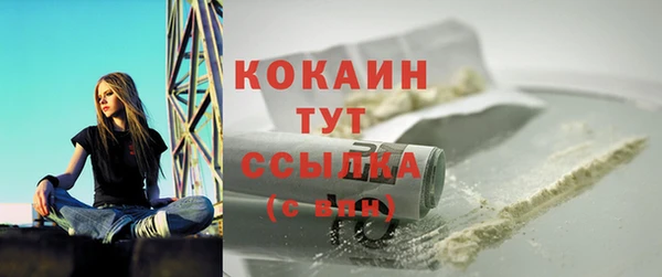 гидра Мегион