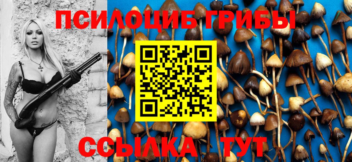 Галлюциногенные грибы прущие грибы  Дербент 