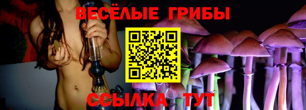 Псилоцибиновые грибы MAGIC MUSHROOMS  Вход с VPN  Псилоцибиновые грибы мухоморы  Дербент 